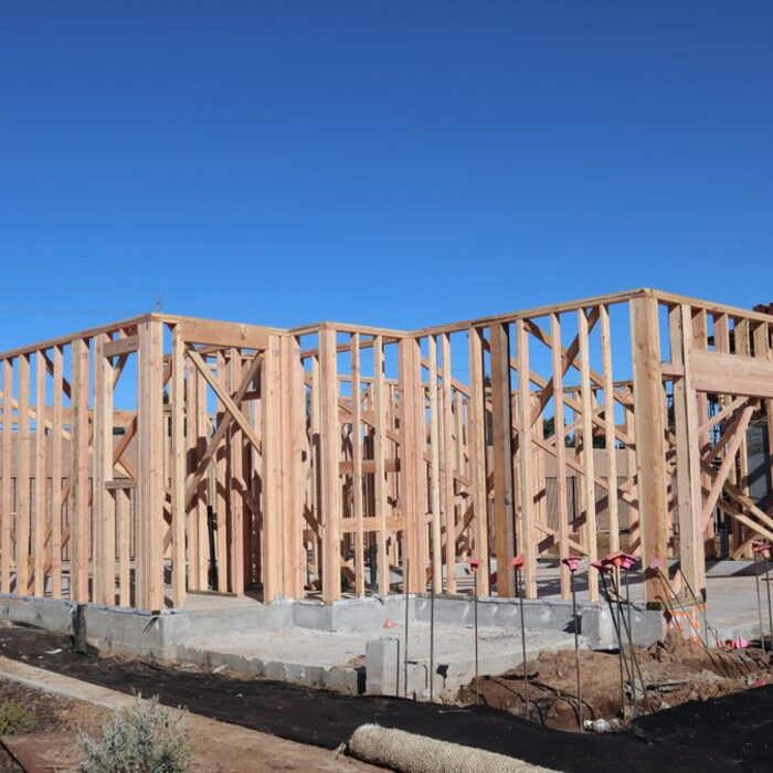 Home addition and gut renovation project